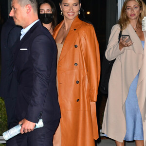 Leaked Adriana Lima 017 pic