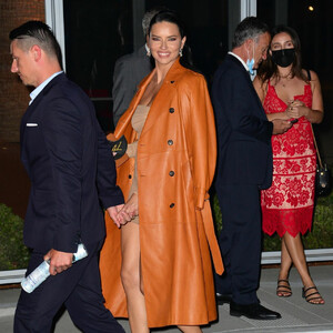 Free Nude Celeb Adriana Lima 050 pic