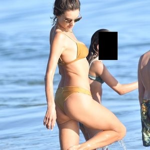 Celebrity Leaked Nude Photo Alessandra Ambrosio 036 pic