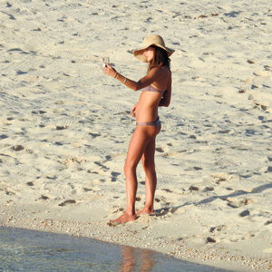 Free Nude Celeb Alessandra Ambrosio 018 pic
