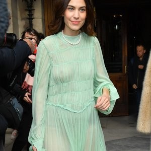 Nude Celebrity Picture Alexa Chung 014 pic