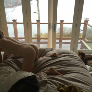 Real Celebrity Nude Amanda Seyfried 008 pic