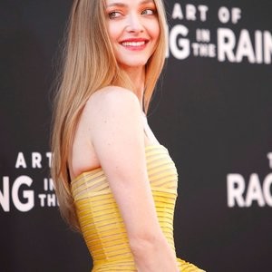 Nude Celebrity Picture Amanda Seyfried 143 pic