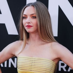 Nude Celebrity Picture Amanda Seyfried 150 pic