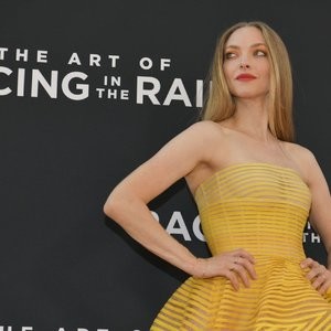 Nude Celebrity Picture Amanda Seyfried 167 pic