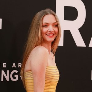 Nude Celebrity Picture Amanda Seyfried 171 pic