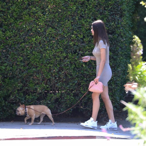 Best Celebrity Nude Amelia Gray Hamlin 018 pic