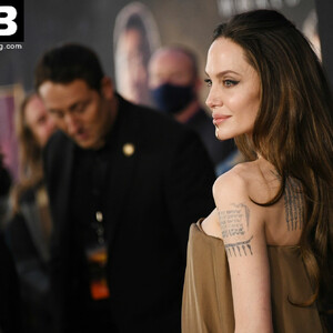 Nude Celeb Pic Angelina Jolie 021 pic
