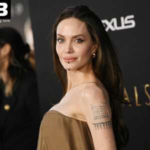 Real Celebrity Nude Angelina Jolie 023 pic