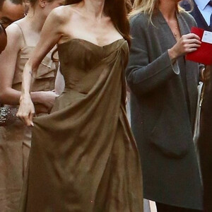Naked Celebrity Angelina Jolie 027 pic