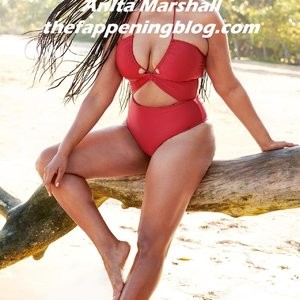 Free nude Celebrity Anita Marshall 010 pic