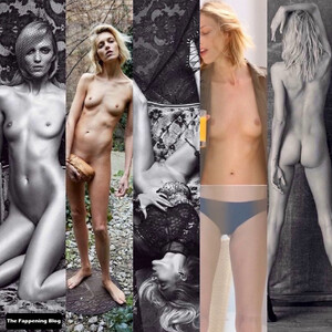 Naked Celebrity Pic Anja Rubik 001 pic