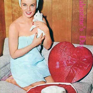 Real Celebrity Nude Ann-Margret 066 pic