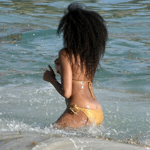 Nude Celebrity Picture Aoki Lee Simmons 017 pic