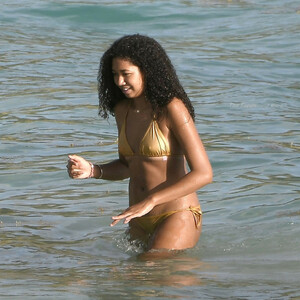 Naked Celebrity Pic Aoki Lee Simmons 020 pic