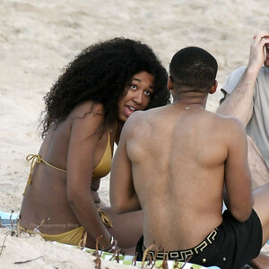 Best Celebrity Nude Aoki Lee Simmons 072 pic