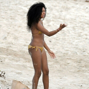 Celebrity Naked Aoki Lee Simmons 077 pic