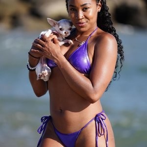 Ariane Andrew Takes Her Dog to the Beach in Santa Monica (78 Photos) – Leaked Nudes