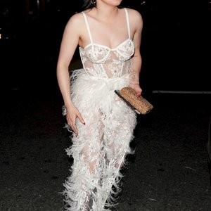 Ariel Winter Puts on a Very Sexy Display in a Sheer Dress (11 Photos) – Leaked Nudes
