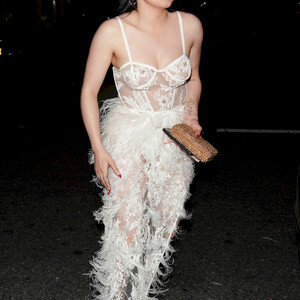 Nude Celeb Pic Ariel Winter 081 pic