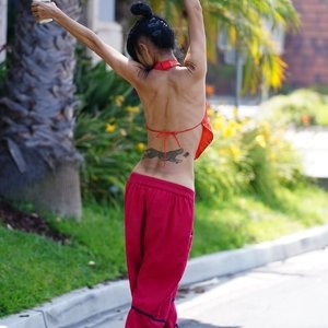 Newest Celebrity Nude Bai Ling 003 pic
