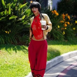 Best Celebrity Nude Bai Ling 015 pic