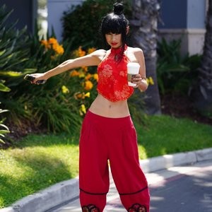 Celebrity Leaked Nude Photo Bai Ling 027 pic