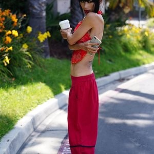 Leaked Celebrity Pic Bai Ling 033 pic
