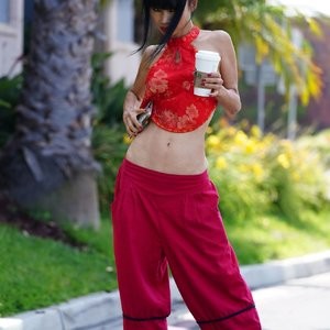 Celebrity Leaked Nude Photo Bai Ling 039 pic