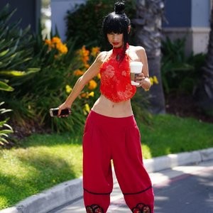 Newest Celebrity Nude Bai Ling 074 pic