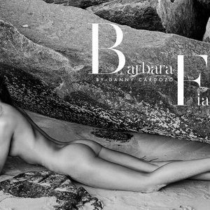 Free nude Celebrity Barbara Fialho 006 pic