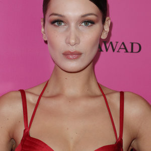 Naked Celebrity Pic Bella Hadid 018 pic