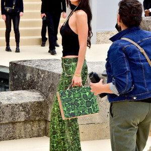 Free Nude Celeb Bella Hadid 034 pic