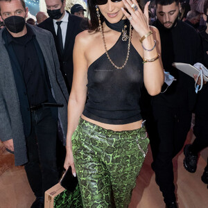 Newest Celebrity Nude Bella Hadid 048 pic