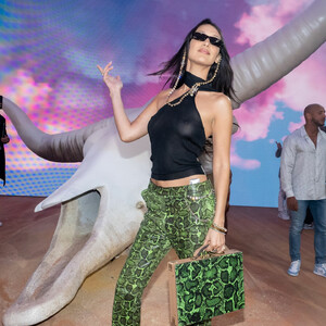 Leaked Bella Hadid 049 pic