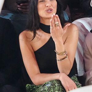 Celeb Nude Bella Hadid 075 pic