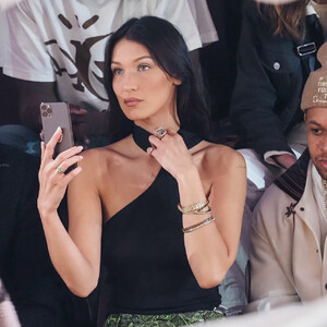 Nude Celebrity Picture Bella Hadid 076 pic