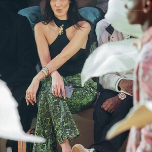 celeb nude Bella Hadid 078 pic