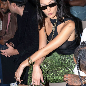 Celeb Naked Bella Hadid 088 pic