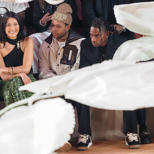 Free Nude Celeb Bella Hadid 093 pic