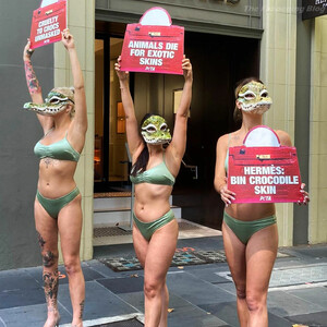 Bikini-clad Models in Crocodile Masks Protest (17 Photos) - Leaked Nudes