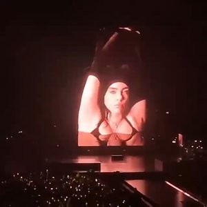 Billie Eilish Shows Some Skin at the Concert in Miami (12 Pics + Video) - Leaked Nudes