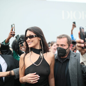 Naked Celebrity Bella Hadid 021 pic