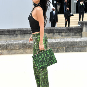 Naked Celebrity Pic Bella Hadid 074 pic