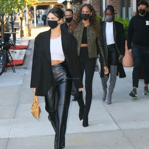 Free Nude Celeb Kendall Jenner 015 pic