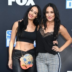 Leaked Celebrity Pic Brie Bella 004 pic