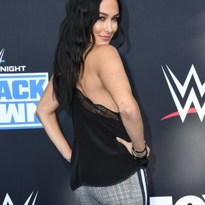 Naked Celebrity Pic Brie Bella 016 pic
