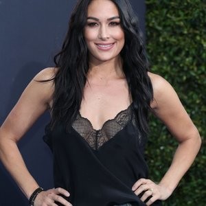 Real Celebrity Nude Brie Bella 028 pic