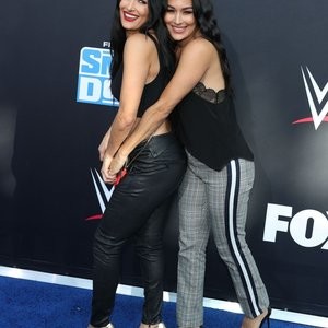 Naked celebrity picture Brie Bella 045 pic