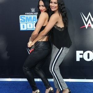 Real Celebrity Nude Brie Bella 055 pic